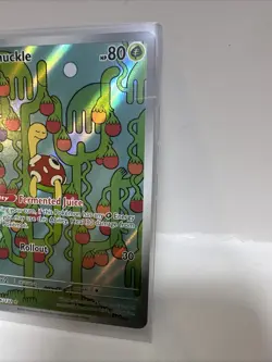Shuckle 136/132 - ME01: Mega Evolution Pokemon Illustration Rare Holo - Image 3