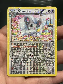 Pokemon TCG Cinccino RC19/RC25 Legendary Treasures Holo Card 2013- NM - Image 1