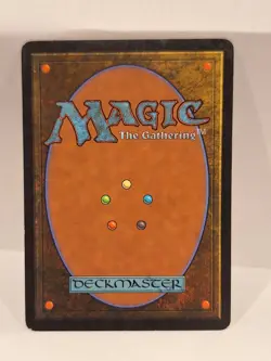 Western Paladin - Eighth 8th Edition - Magic the Gathering MTG - Image 2