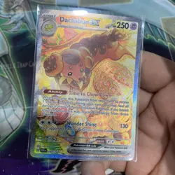 2024 Pokemon Scarlet & Violet Stellar Crown Dachsbun ex #169/142 - Image 3