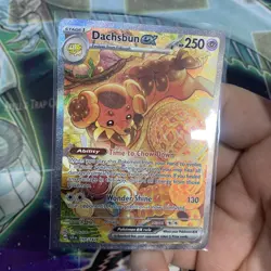 2024 Pokemon Scarlet & Violet Stellar Crown Dachsbun ex #169/142 - Image 4