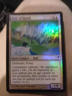 Mtg Wall of Shards Coldsnap Foil Bent Crease On Top Right Corner - Image 1