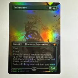 Endurance (Borderless) Special Guests Foil - Image 1