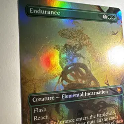 Endurance (Borderless) Special Guests Foil - Image 2