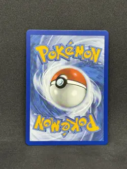 Pokemon-Gym Trainer (Full Art) 191/195 Silver Tempest Holo - Image 2