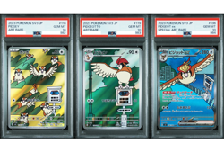 PSA 10 Pidgey Pidgeotto AR Pidgeot ex Seq Set Sv3 Pokemon Card Japanese 2023 - Image 1
