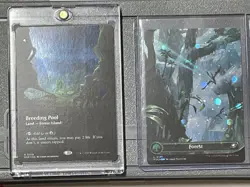 Breeding Pool Foil Extended Art Showcase & Galaxy Forest Edge of Eternities MTG - Image 1