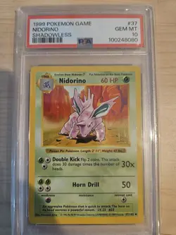 PSA 10 Nidorino Shadowless 37/102 Base Set 1999 Pokemon TCG - Image 1