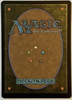 MTG Lost Isle Calling The Lord of the Rings 0444 BORDERLESS FOIL NM - Image 2