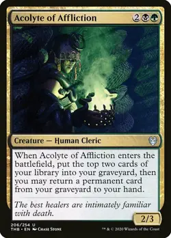 MTG Theros Beyond Death U Acolyte of Affliction #206 PLAYSET 4x x4 - Image 1
