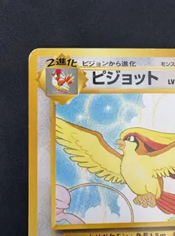 Pokemon Vintage Southern Islands Japanese Pidgeot Rare Promo - Image 3