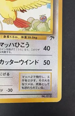 Pokemon Vintage Southern Islands Japanese Pidgeot Rare Promo - Image 5
