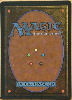 LIMITED EDITION Ice Age Vintage MtG Adarkar Wastes Unplayed NM - Image 2