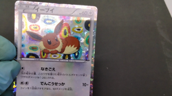 Eevee Eevee Collection Black & White 2012 189/BW-P Holo MP Japanese Pokemon Card - Image 2