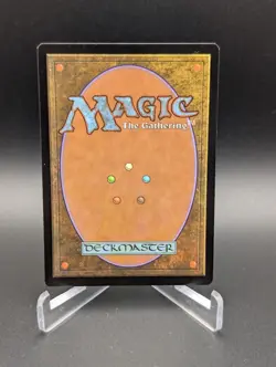 Grand Coliseum Commander 2016 Regular - Image 3