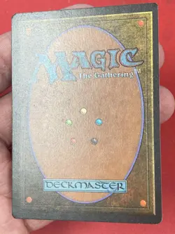 ***FBB German Taiga*** MTG Revised Kid Icarus - Image 4