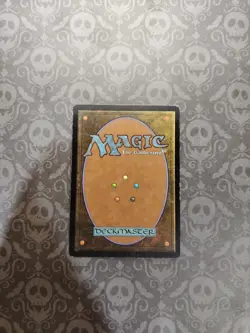 Squirrel Mob Odyssey Regular - Image 3