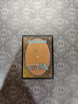 Squirrel Mob Odyssey Regular - Image 4