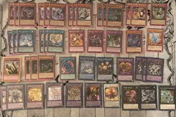 Yugioh Dracotail Deck Core (Complete w/ DOOD Support) - Image 1