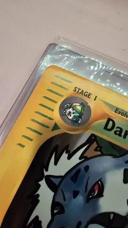 Dark Ivysaur JUMBO Winner Pokemon Card 6 League Promo Oversized - Image 5