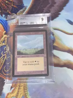 1993 MTG Plains (B) Limited Edition - Beta Edition BGS 9 (9, 9, 9.5, 9.5) - Image 1
