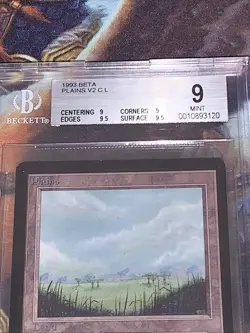 1993 MTG Plains (B) Limited Edition - Beta Edition BGS 9 (9, 9, 9.5, 9.5) - Image 2