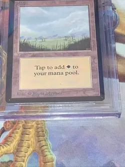 1993 MTG Plains (B) Limited Edition - Beta Edition BGS 9 (9, 9, 9.5, 9.5) - Image 3