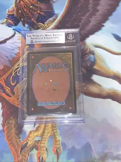 1993 MTG Plains (B) Limited Edition - Beta Edition BGS 9 (9, 9, 9.5, 9.5) - Image 4