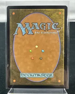 Magic The Gathering: Misty Rainforest Zendikar Regular - MR6 - Image 2