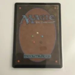 Llanowar Wastes - Apocalypse - Magic the Gathering MTG Nice! - Image 2