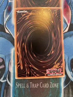 Ghost Sister & Spooky Dogwood MAGO-EN013 1st Edition Gold Rare NM yugioh - Image 2