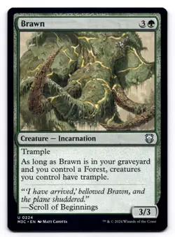 Brawn NM Commander: Modern Horizons 3 0224 MTG Regular - Image 1