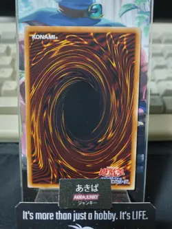 Predaplant Bufolicula Yugioh DIFO-JP018 Yu-Gi-Oh Konami OCG JAPAN - Image 3