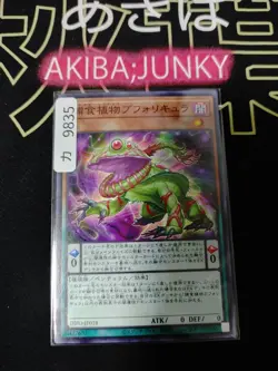 Predaplant Bufolicula Yugioh DIFO-JP018 Yu-Gi-Oh Konami OCG JAPAN - Image 4