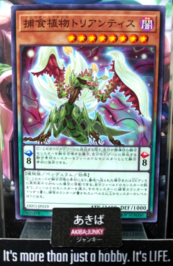 Predaplant Triantis Yugioh DIFO-JP019 Yu-Gi-Oh Konami OCG JAPAN - Image 1