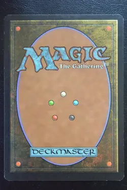 Magic The Gathering MTG RAYNE, ACADEMY CHANCELLOR Urza's Destiny LP Played - Image 2