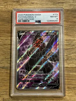 GRADED PSA 8 2020 Pokemon SWSH FA/Coalossal V Vivid Voltage #173 - Image 1