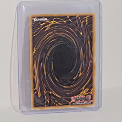 Yugioh Rage Rose Witch DOOD-EN040 Ultra Rare 1st Edition NM - Image 4