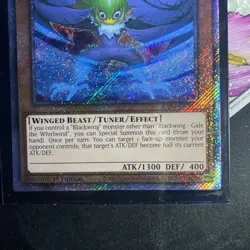 Yugioh Blackwing - Gale the Whirlwind - RA03-EN215 NM Platinum Secret Rare - Image 2