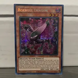 1ST EDITION ROXROSE DRAGON 2020 MP22-EN060 YUGIOH CARD (LP/MP) - Image 1