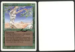 ***Shanodin Dryads Artist Proof Signed*** MTG Revised Anson Maddocks Kid Icarus - Image 1