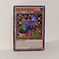 Yugioh! 2x Vengeful Witch DOOD-EN004 Super Rare 1st Ed NM - Image 2