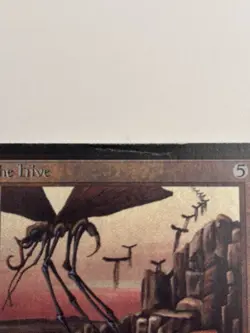 The Hive Limited Edition - Beta Edition Regular MP/LP - Image 2