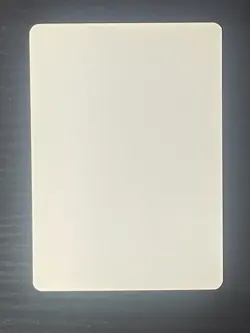 Magic MTG Italian Revised Scryb Sprites Artist Proof Near Mint - Only 50 Exist! - Image 2