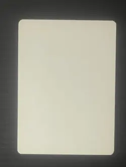 Magic MTG Italian Revised Forest Artist Proof Near Mint - Only 50 Exist! - Image 2