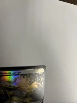 Horizon Canopy Foil Zendikar Rising Expedition MTG - Image 3