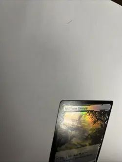 Horizon Canopy Foil Zendikar Rising Expedition MTG - Image 4