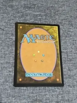 Drowned Catacomb - FIC 0388 NM/M - MTG Magic Non Foil - Image 2