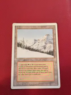 Taiga HP/DMG Revised MTG - Image 1