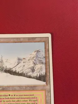 Taiga HP/DMG Revised MTG - Image 4